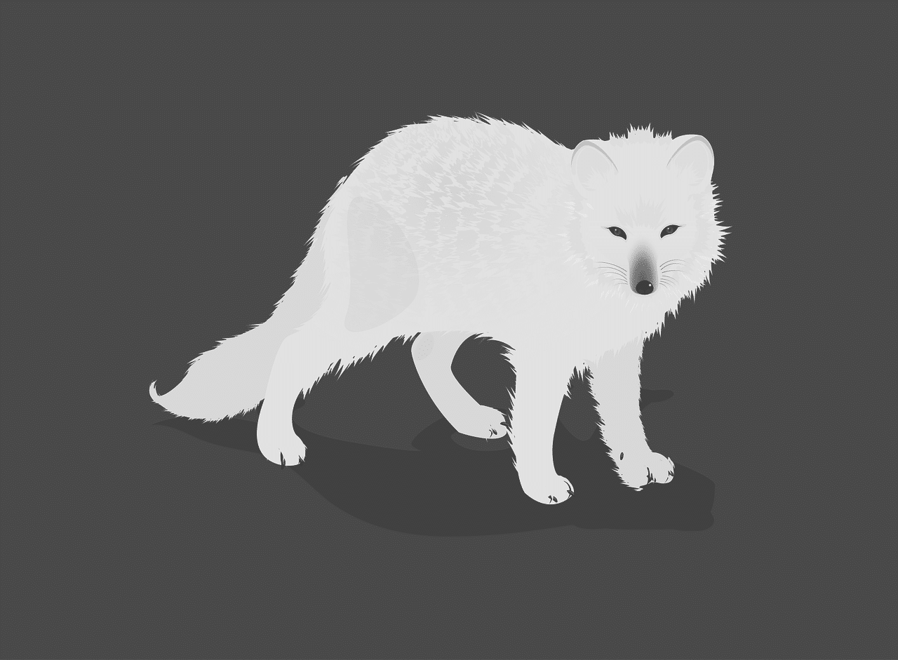 5 infos passées sous les radars